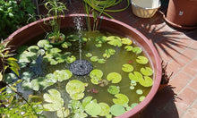 Load image into Gallery viewer, Dotmalls Solar Powered Water Fountain