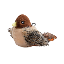 Load image into Gallery viewer, PetsBoro FeatherFun Flyer