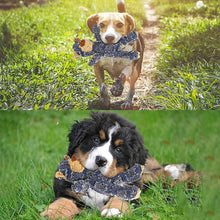 Load image into Gallery viewer, Dotmalls Robust Bears