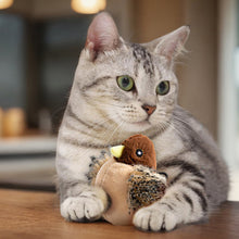 Load image into Gallery viewer, PetsBoro FeatherFun Flyer