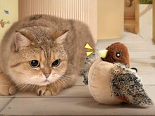 Load image into Gallery viewer, PetsBoro FeatherFun Flyer