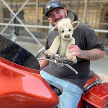 Load image into Gallery viewer, Theorbi™ Highland Cow Plush Toy