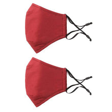 Load image into Gallery viewer, Nose Wire Pollution Mask / Pack of 2 - Adult - 4 Activated Carbon Filters PM2.5 - Washable and Reusable