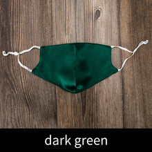 Load image into Gallery viewer, 3D Mulberry Silk Face Mask (12 colours)