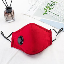 Load image into Gallery viewer, Reusable Face Mask For Excellent Breathability & Extra Comfort