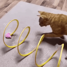 Load image into Gallery viewer, Cat Coil Spring Toy For Indoor Cats